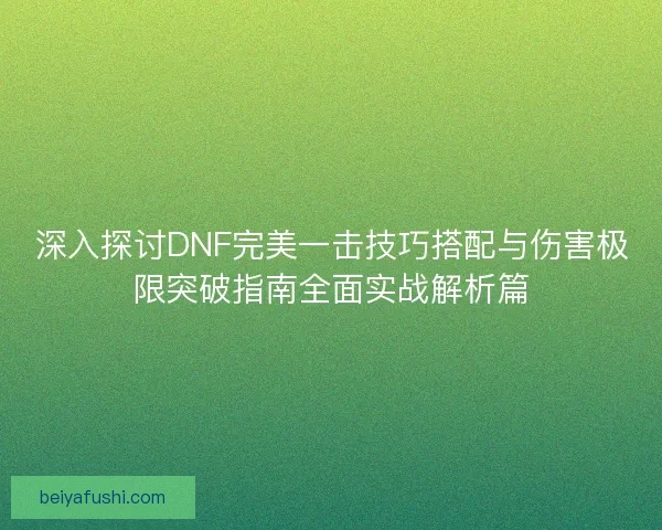 深入探讨DNF完美一击技巧搭配与伤害极限突破指南全面实战解析篇